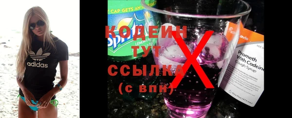 твердый Богданович