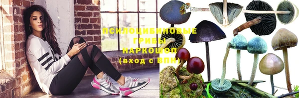 МДПВ Белоозёрский