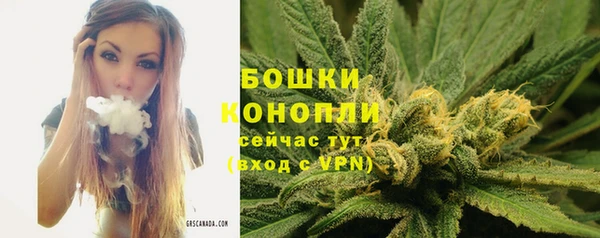 не бодяженный Беломорск