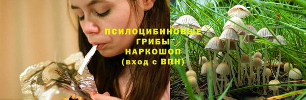 твердый Богданович