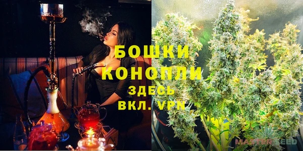 твердый Богданович