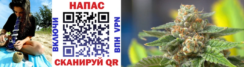 shop состав Богородск Бошки марихуана SATIVA & INDICA